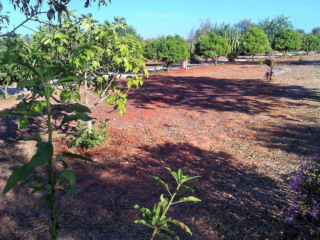 Quinta Casalinho Βίλα Αλμπουφέιρα Εξωτερικό φωτογραφία