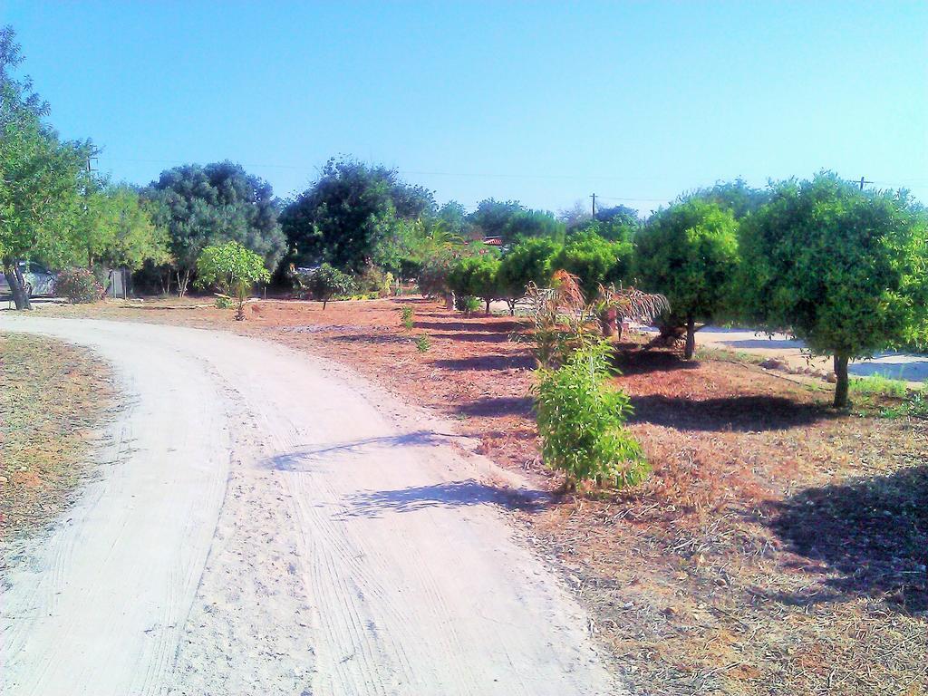 Quinta Casalinho Βίλα Αλμπουφέιρα Εξωτερικό φωτογραφία