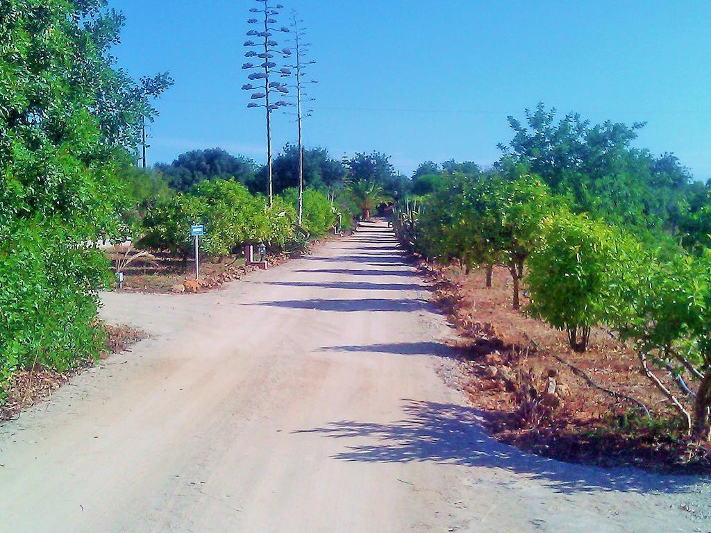 Quinta Casalinho Βίλα Αλμπουφέιρα Εξωτερικό φωτογραφία