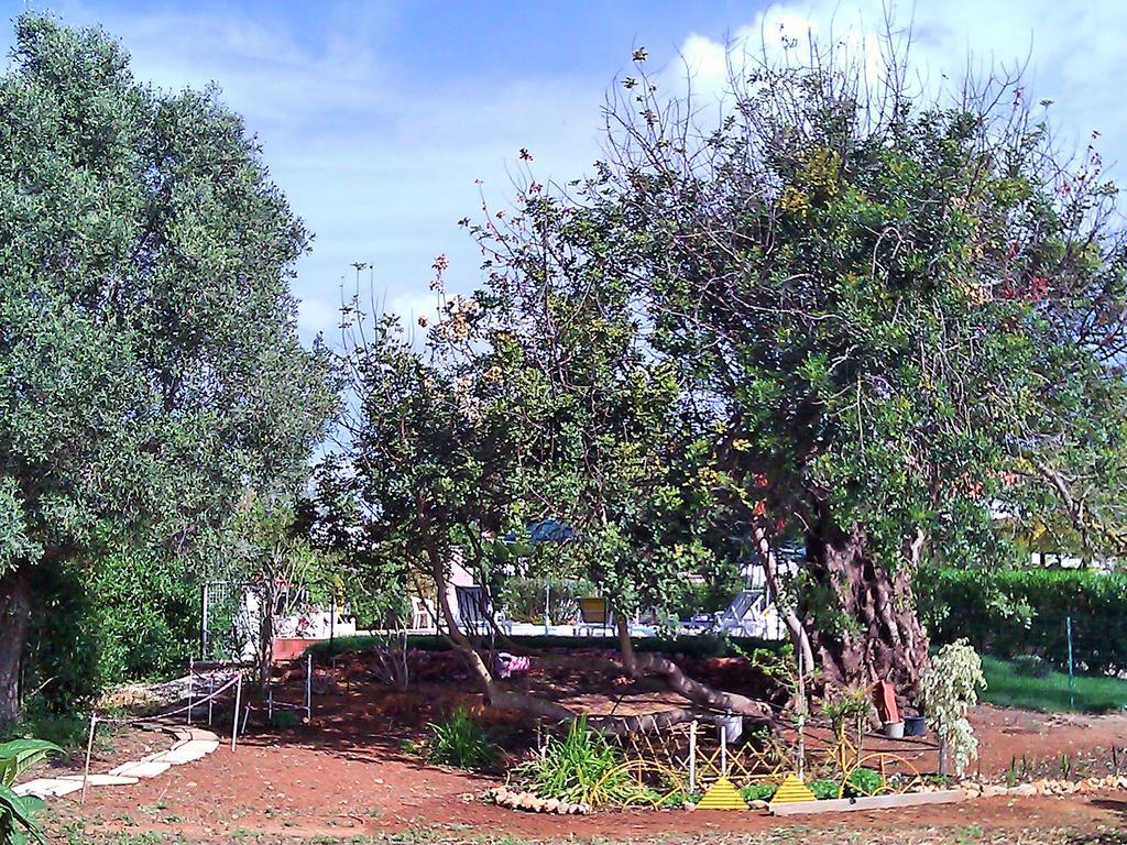 Quinta Casalinho Βίλα Αλμπουφέιρα Εξωτερικό φωτογραφία