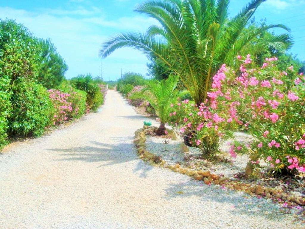 Quinta Casalinho Βίλα Αλμπουφέιρα Εξωτερικό φωτογραφία